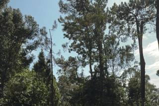 Bosque Eventos - 6