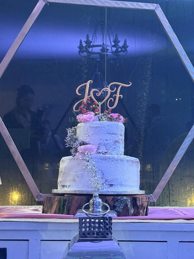 Ivo Electrónico - 4