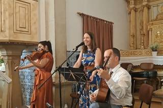 Violitarra - 6