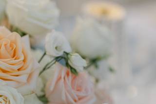 Sonhos Reais - Eventos e Ambientes - 5