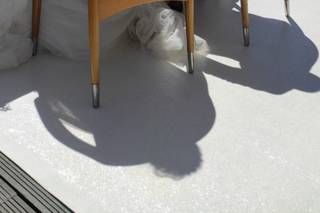 RN Madeira Celebrant - 10