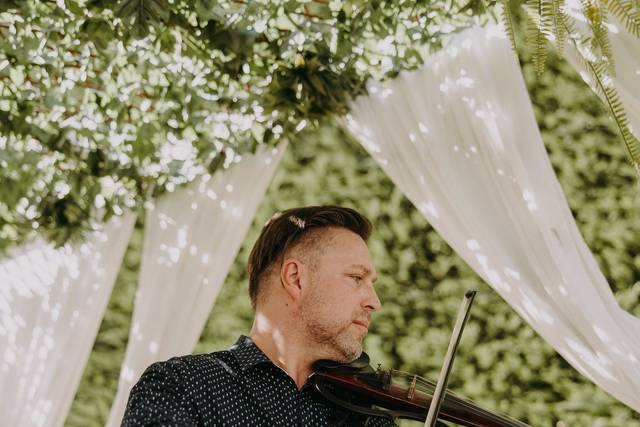Violin by Oliver 2