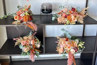 Natureza Dinâmica - 5