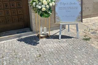 Natureza Dinâmica - 6