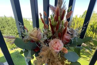 Natureza Dinâmica - 7