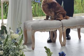 Friend of Honor - 1