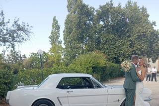 Feeling Classic - 9