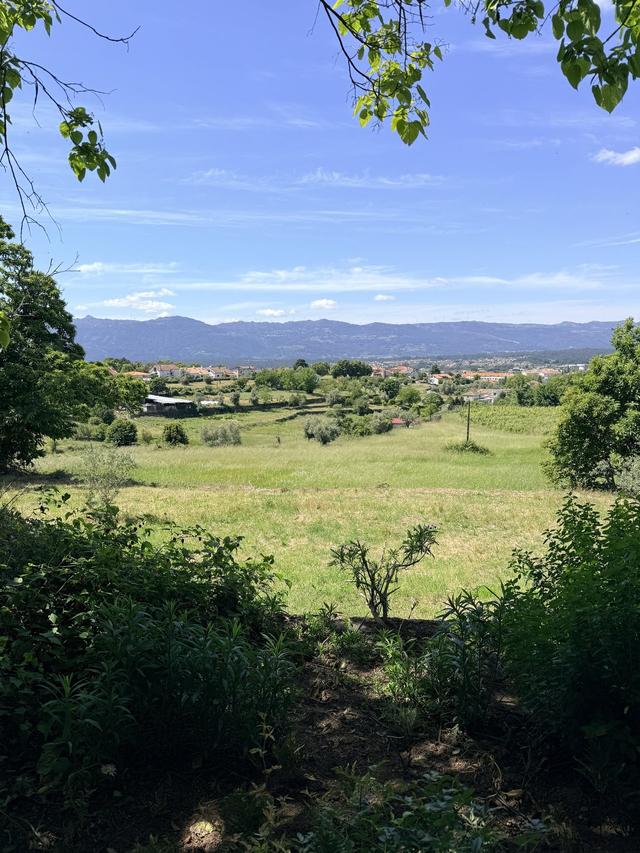 Quinta da Ribeira - 4