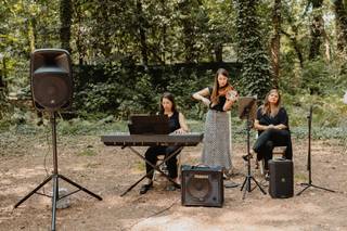 Vivaldi Eventos - 11