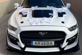 Mustang Moments - 6