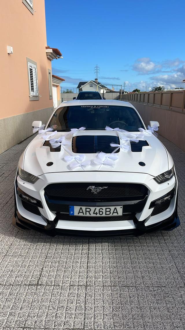 Mustang Moments - 2