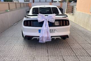 Mustang Moments - 7