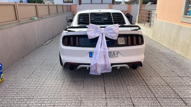 Mustang Moments - 3