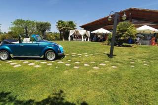 Quinta d'Oliveiras - 15