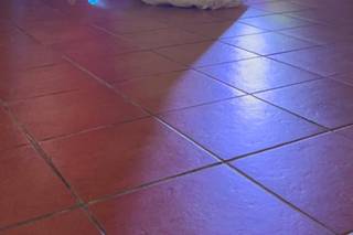 Cerca das Palmeiras - 13