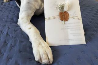 Aura Studio Design - 8