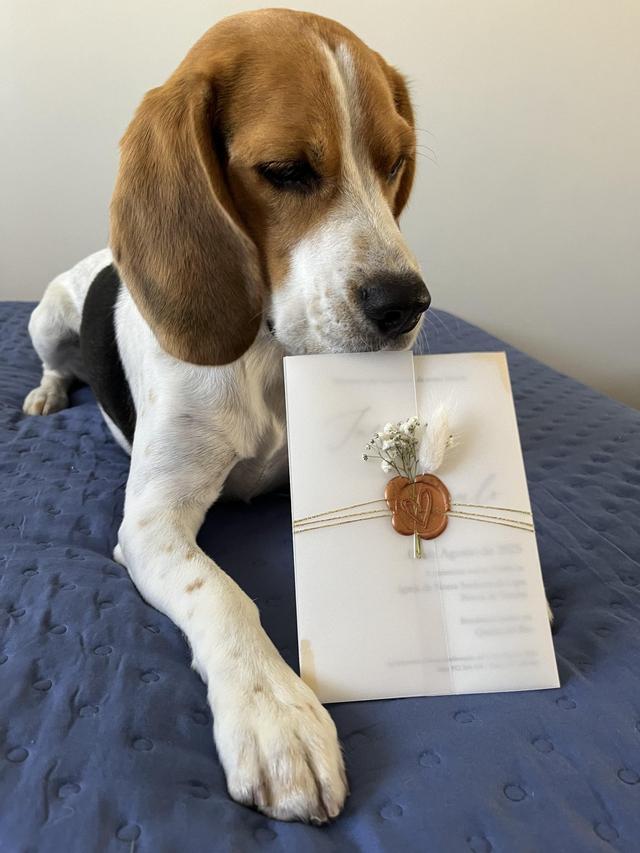 Aura Studio Design - 4