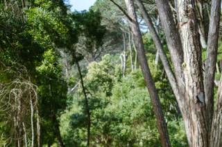 Cascais Photo Weddings - 7