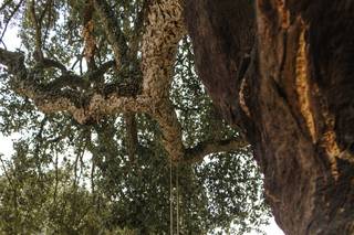 Ana Wedding Photography - 9