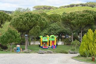 Animações Andreia - 5