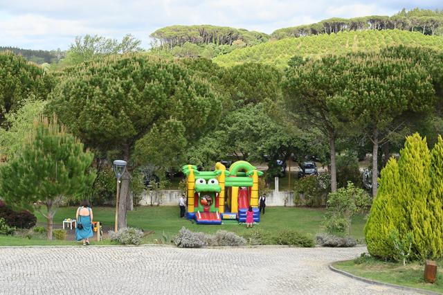 Animações Andreia - 1