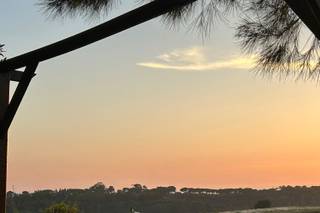 Quinta do Joinal - 6
