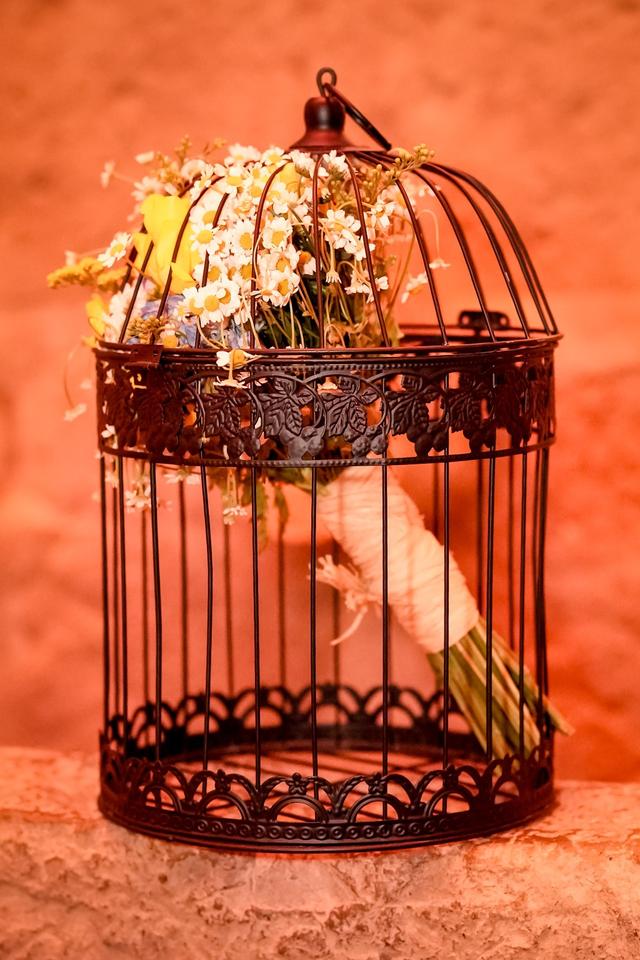 Eventos com Pimenta - 2