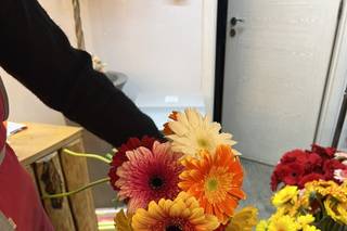 Florista Beautyflor - 5