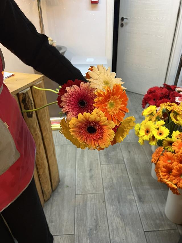 Florista Beautyflor - 2