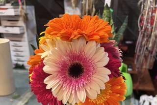 Florista Beautyflor - 6