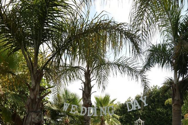 Quinta D. José 4