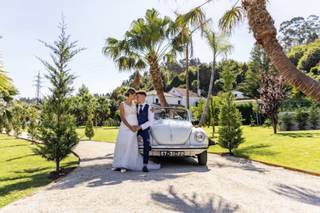 Dream Car 2CV & VW Beetle - 9