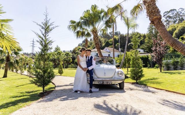 Dream Car 2CV & VW Beetle - 4