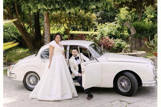 Love Bug - 5