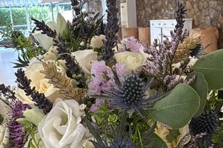 Grupo Grilo - Quinta do Grilo - 8