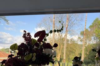 Quinta de Santa Teresinha - 15