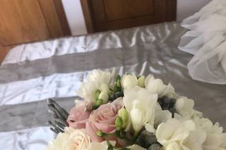 Pequeno Jardim - 17
