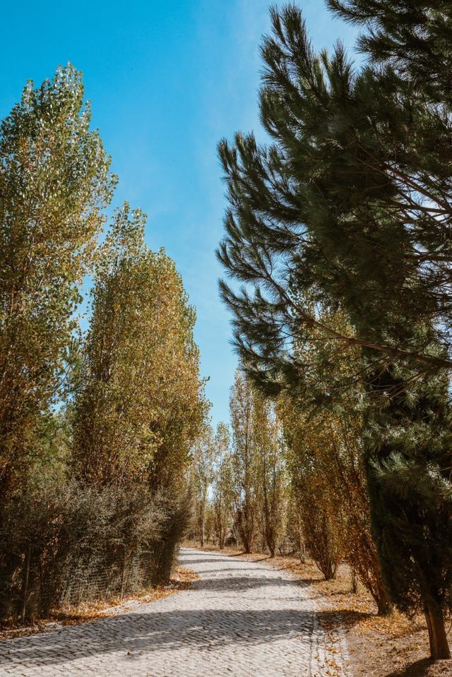 Halma Nature & Sea - 2