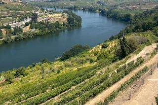 Delfim Douro Hotel - 15