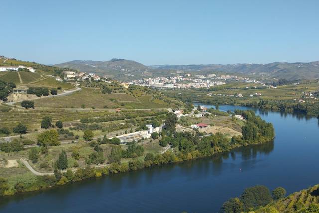 Delfim Douro Hotel 3