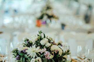 Quinta da Pacheca - 26