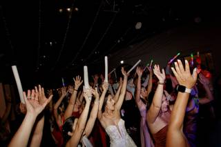 Marco Teixeira Photography - 6