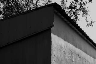 Marco Teixeira Photography - 7