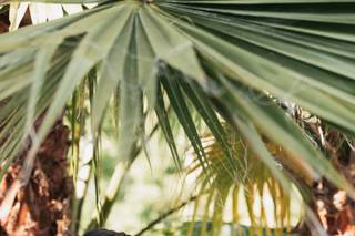 Moreira Fotografia - 8