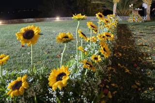 Sonhos Reais - Eventos e Ambientes - 7