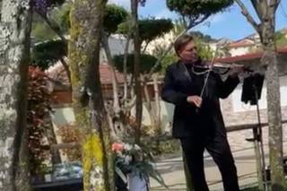 Violin by Oliver - 7