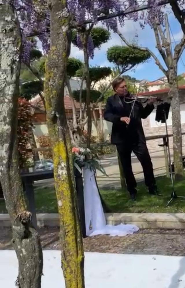 Violin by Oliver - 2