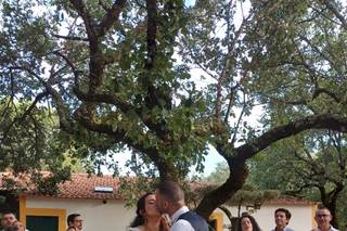 Quinta Flor do Alecrim - 5