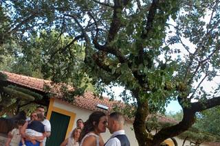 Quinta Flor do Alecrim - 7