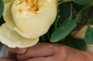 Ana Almeida Weddings Creator - 13